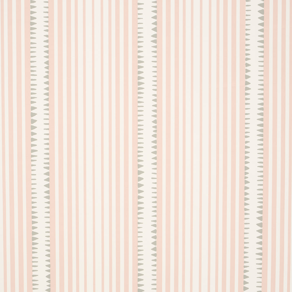 MONCORVO | Pink