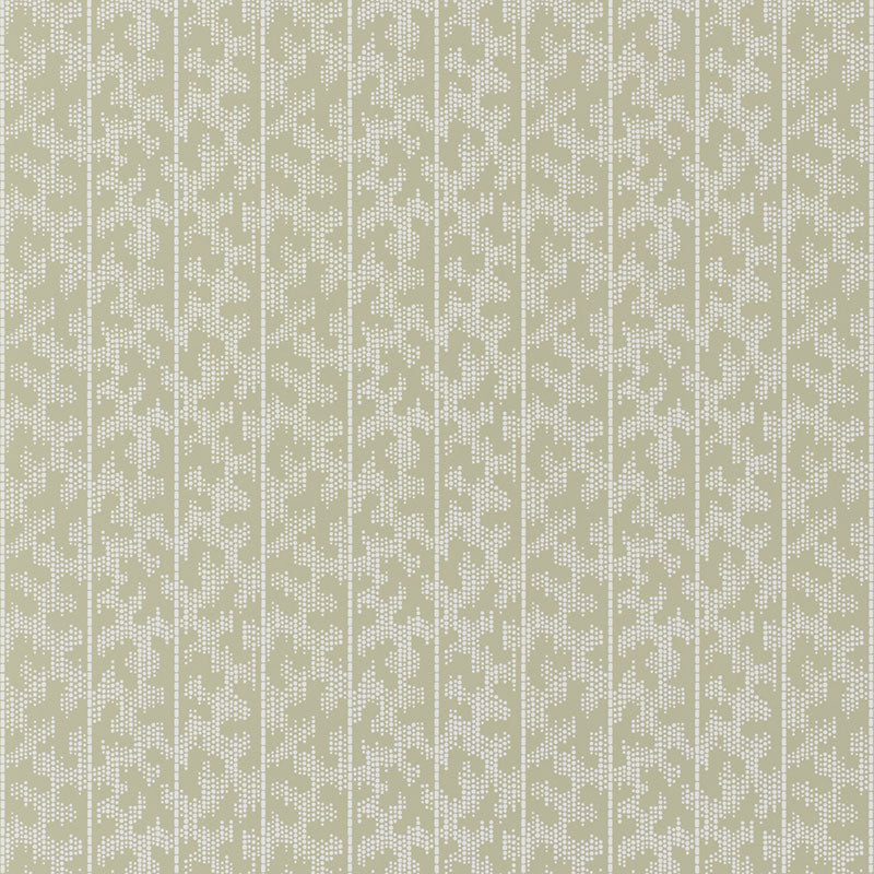 Montpellier | Shutter