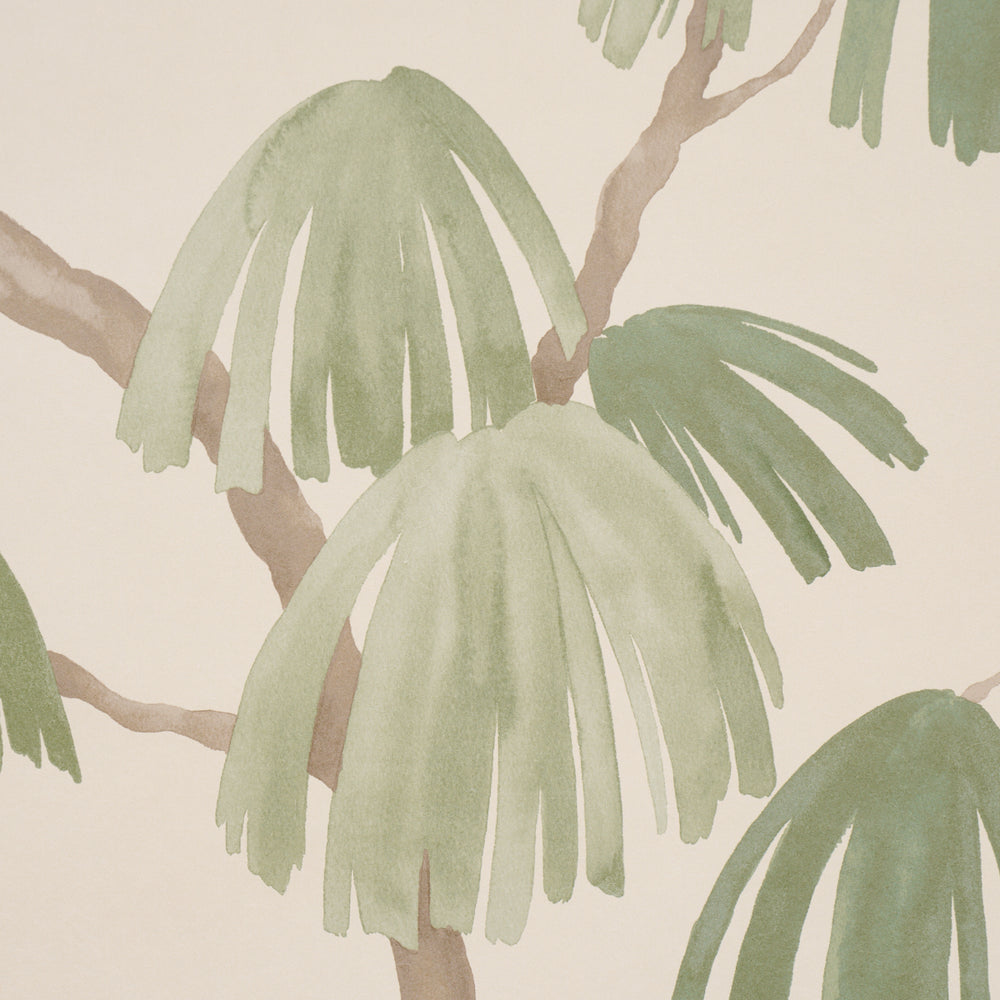 Weeping Pine | Green