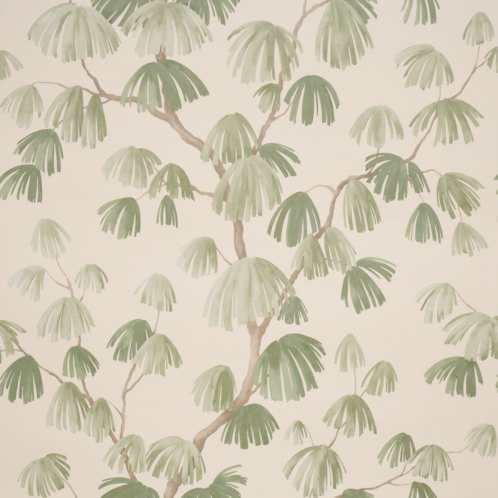 Weeping Pine | Green