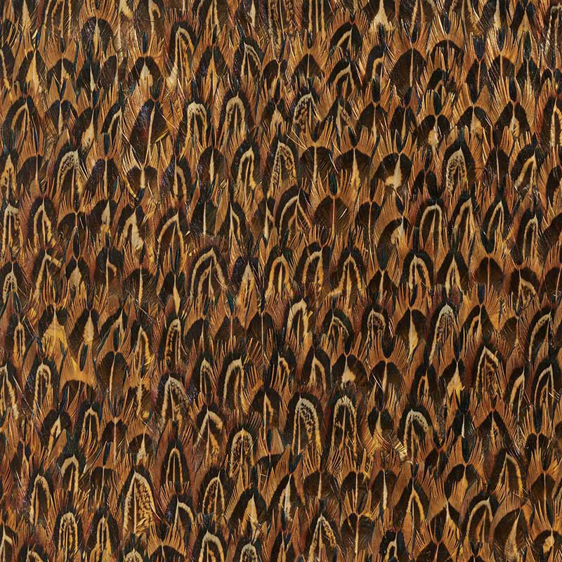 GOLD | Quail