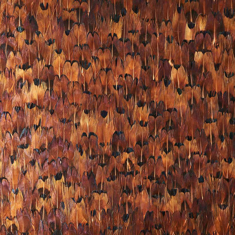 COPPER | Chocolate