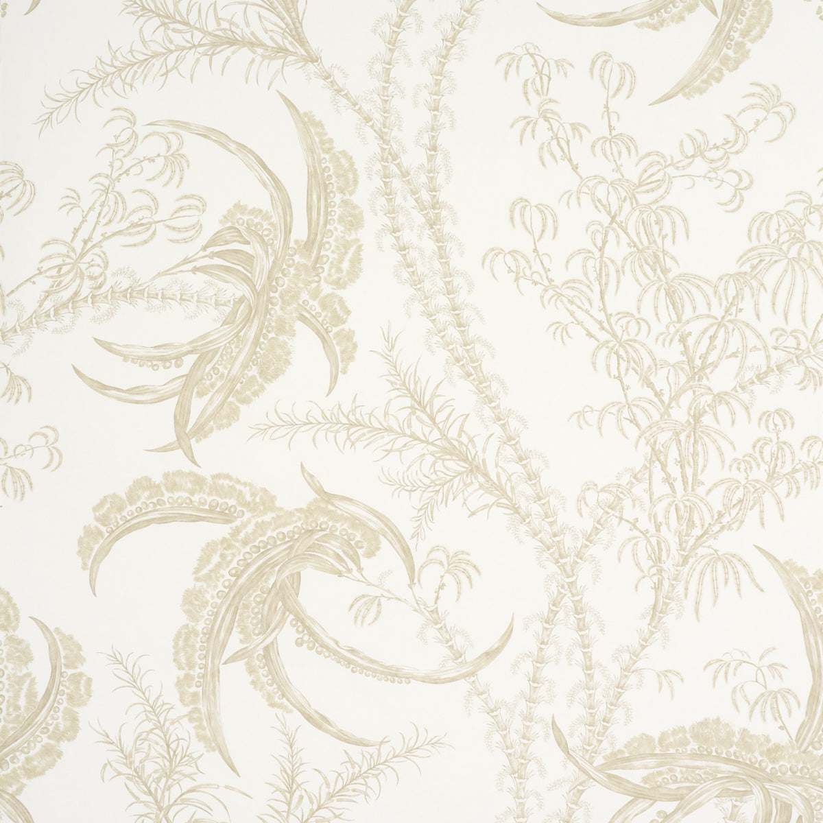 A Love Affair – Schumacher EU