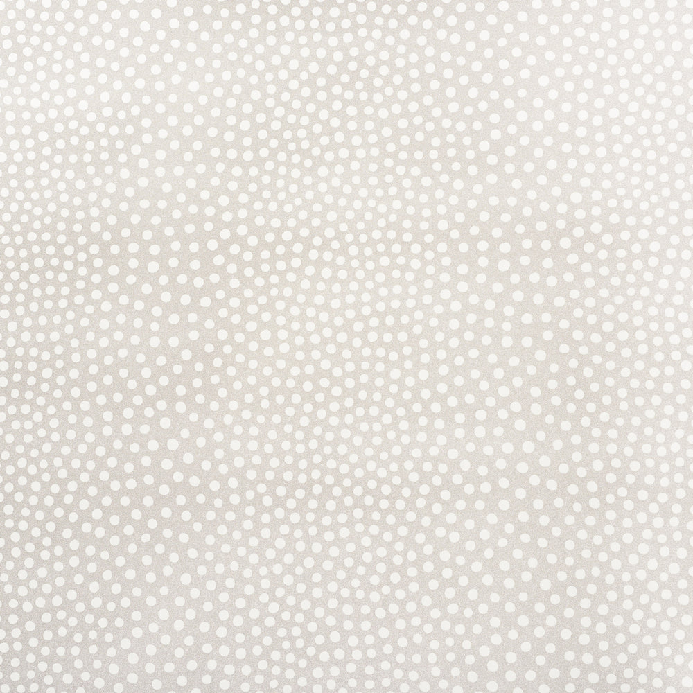 RAINDOTS VINYL | Warm Silver