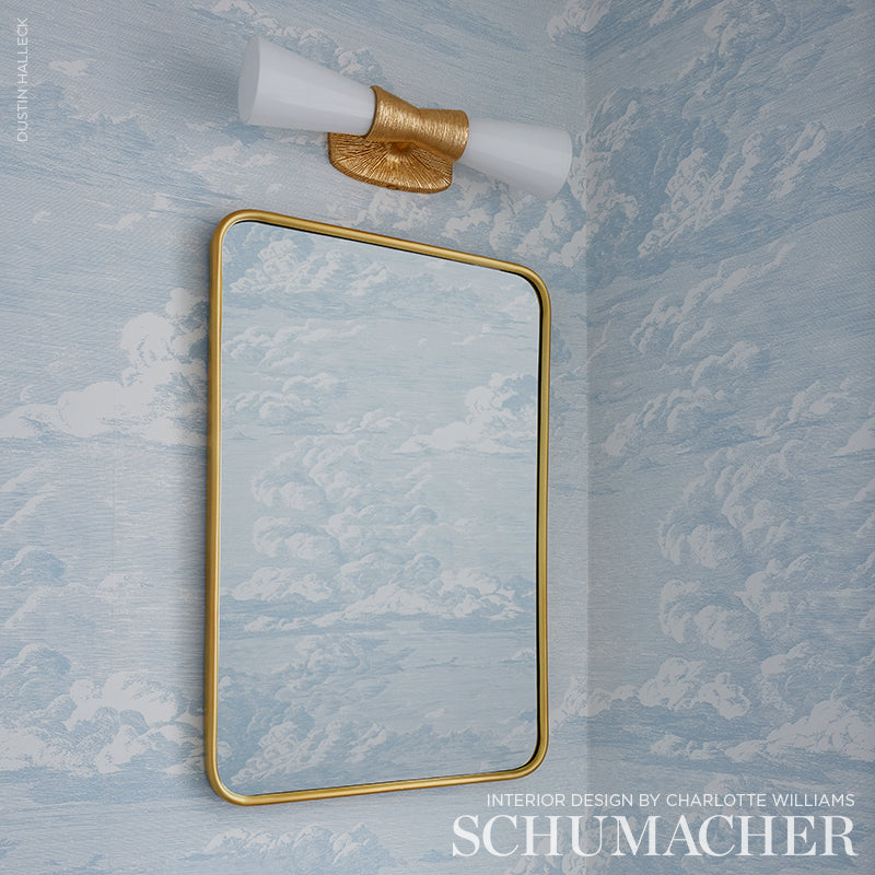 CLOUD TOILE | Mineral
