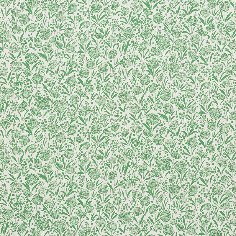 Chrysanthemum | Green