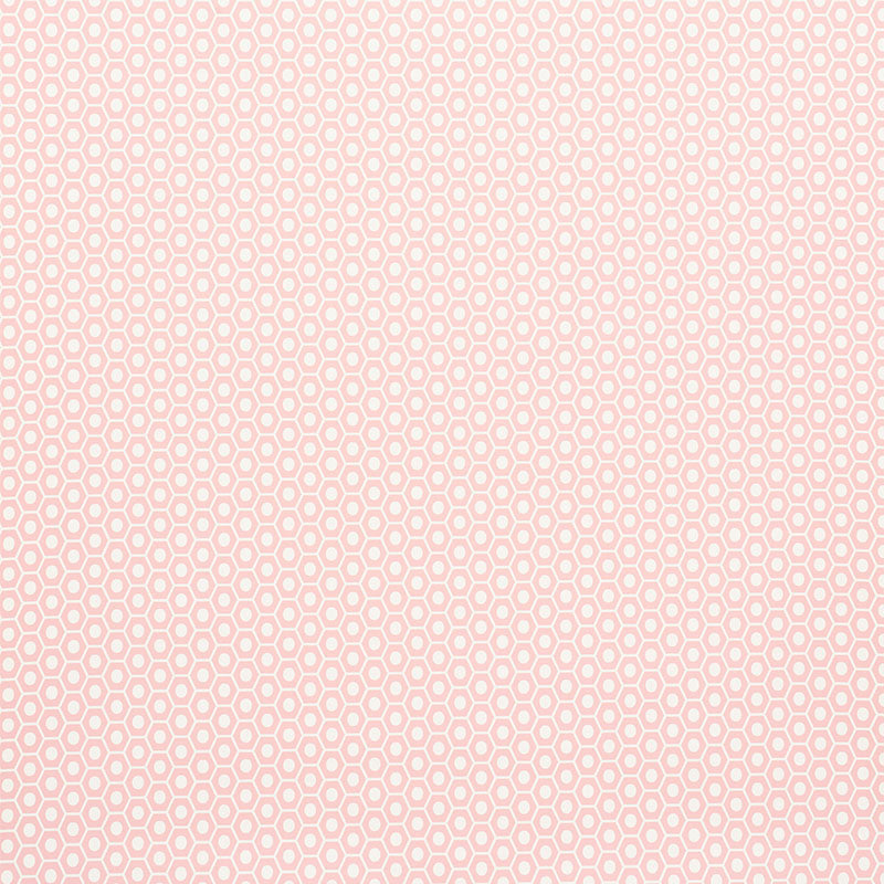 Queen B | Pink
