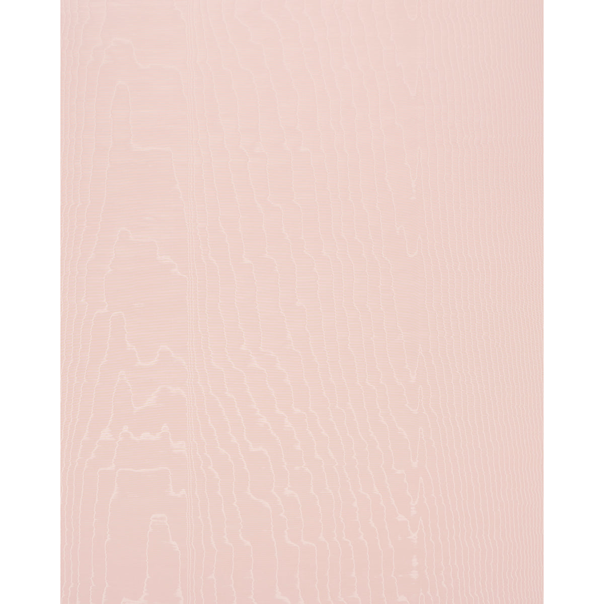 MOIRÉ WALLCOVERING | Rose