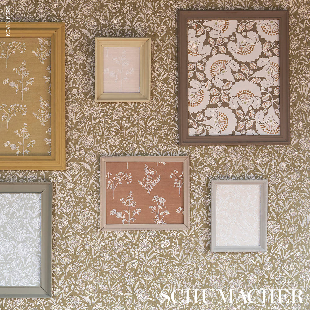 Chrysanthemum Sisal | Juniper