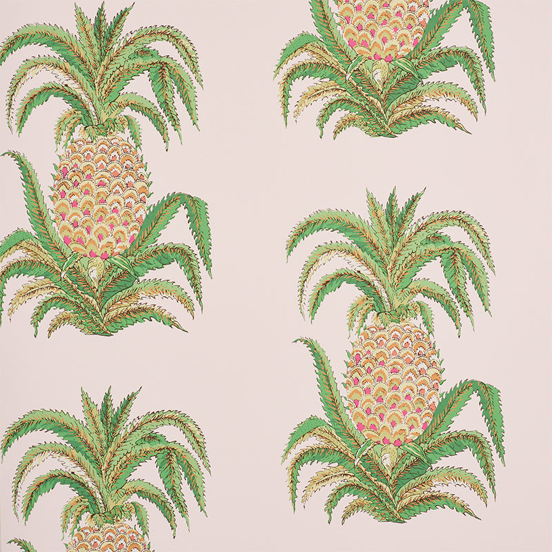 PINEAPPLES | Blush