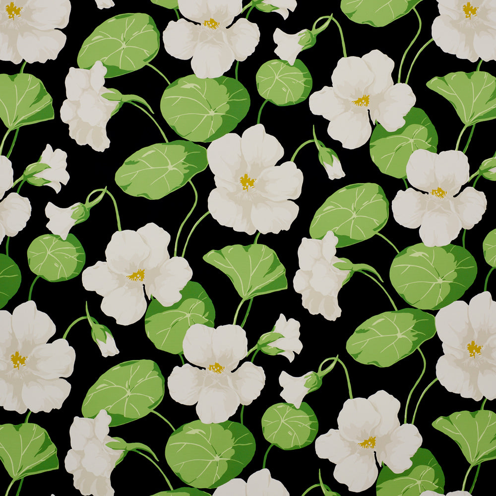 NASTURTIUM | Noir