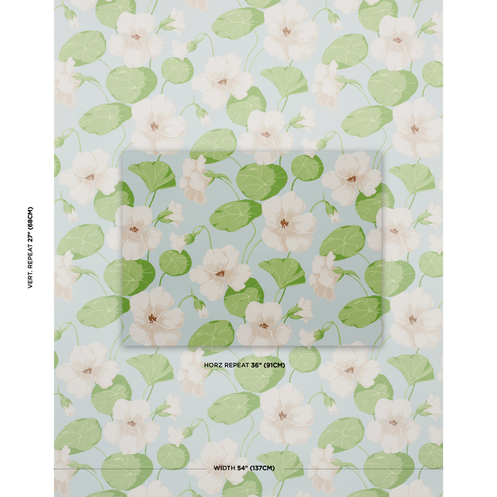 NASTURTIUM | Sky