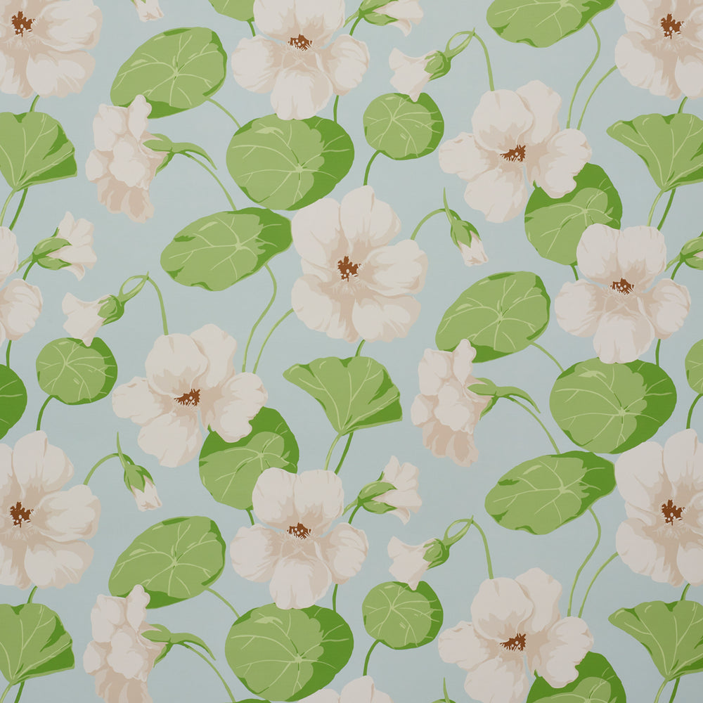 NASTURTIUM | Sky