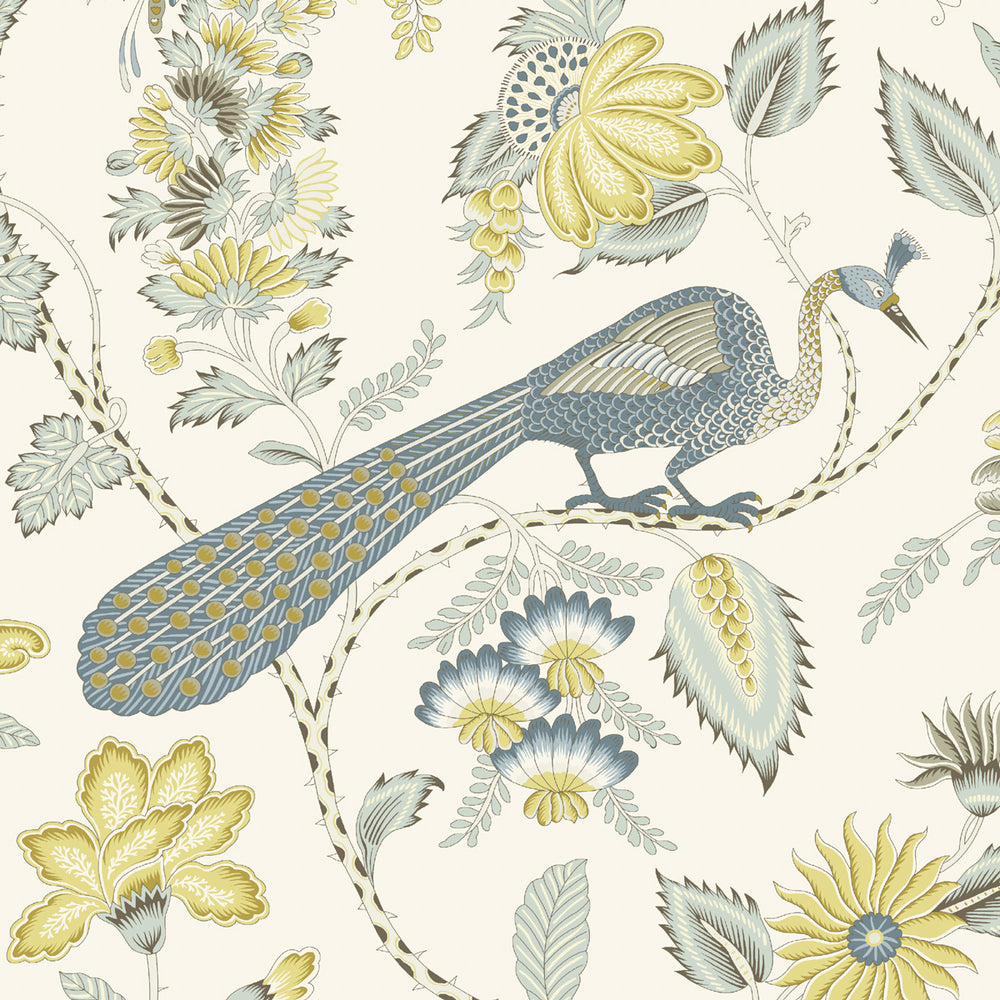 CAMPAGNE | Cadet & Citron