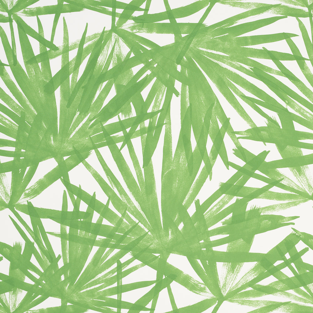 SUNLIT PALM | Green