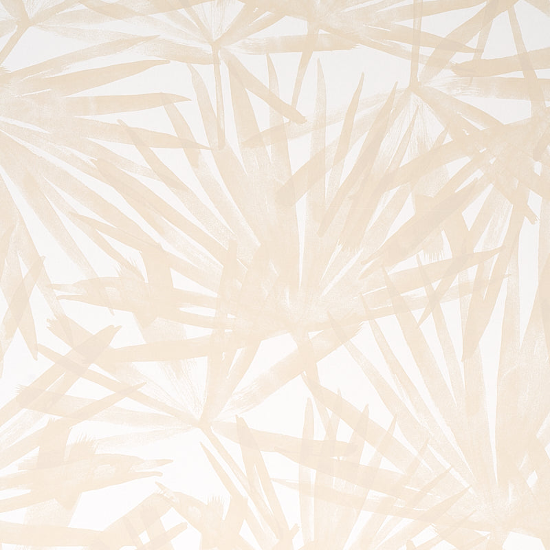 Sunlit Palm | Sand