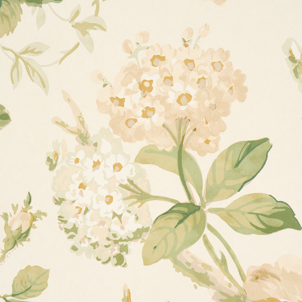 Nancy Floral | Ivory