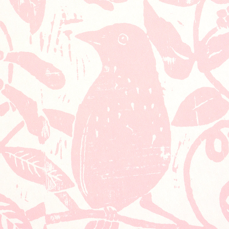 BIRD & BEE | Pink