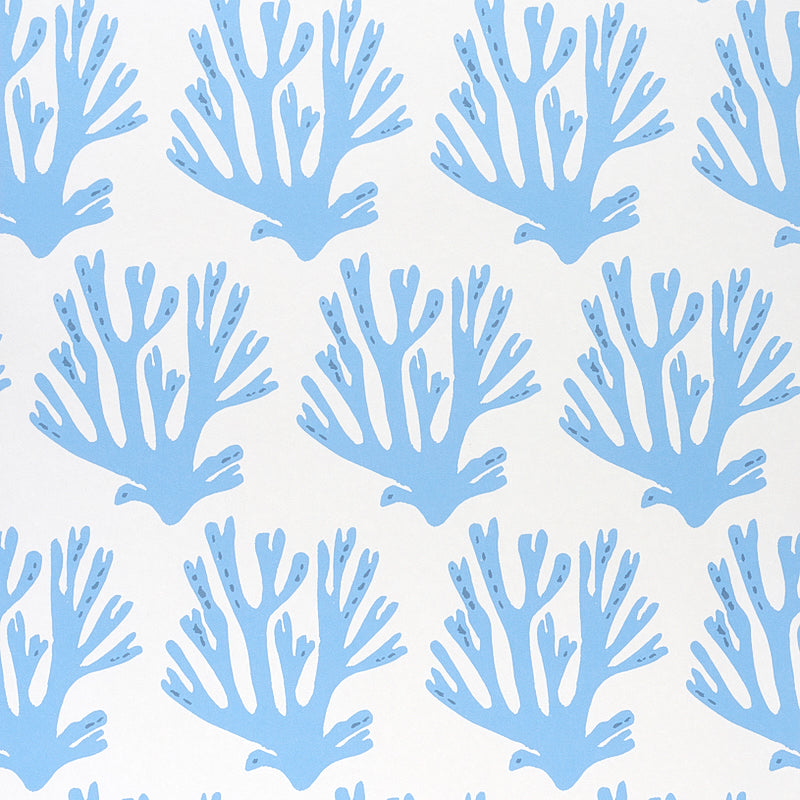 Coral | Blue