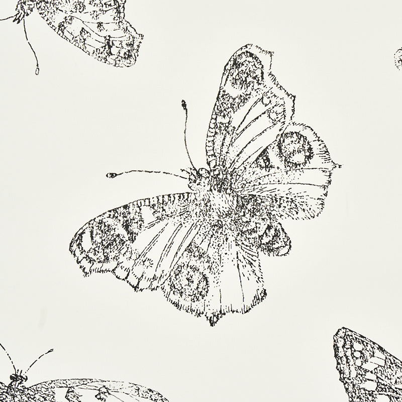 BURNELL BUTTERFLY | Ivory