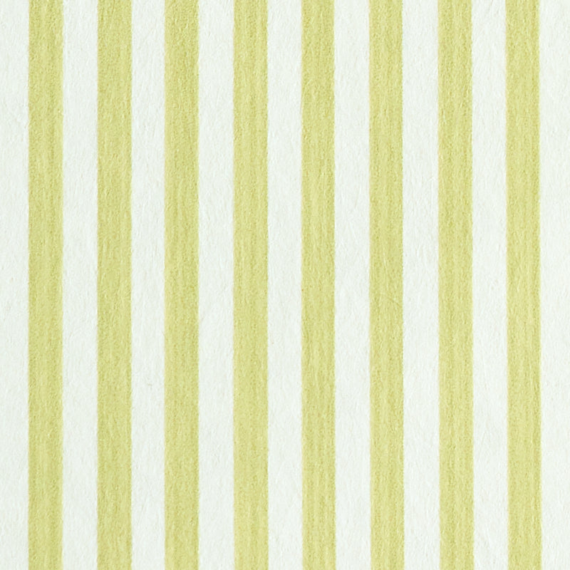 EDWIN STRIPE NARROW | Citron