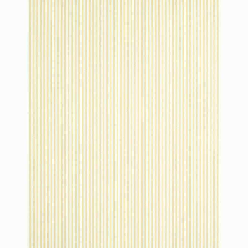 EDWIN STRIPE NARROW | Buttercup
