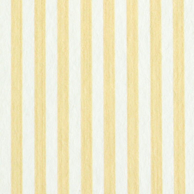 EDWIN STRIPE NARROW | Buttercup