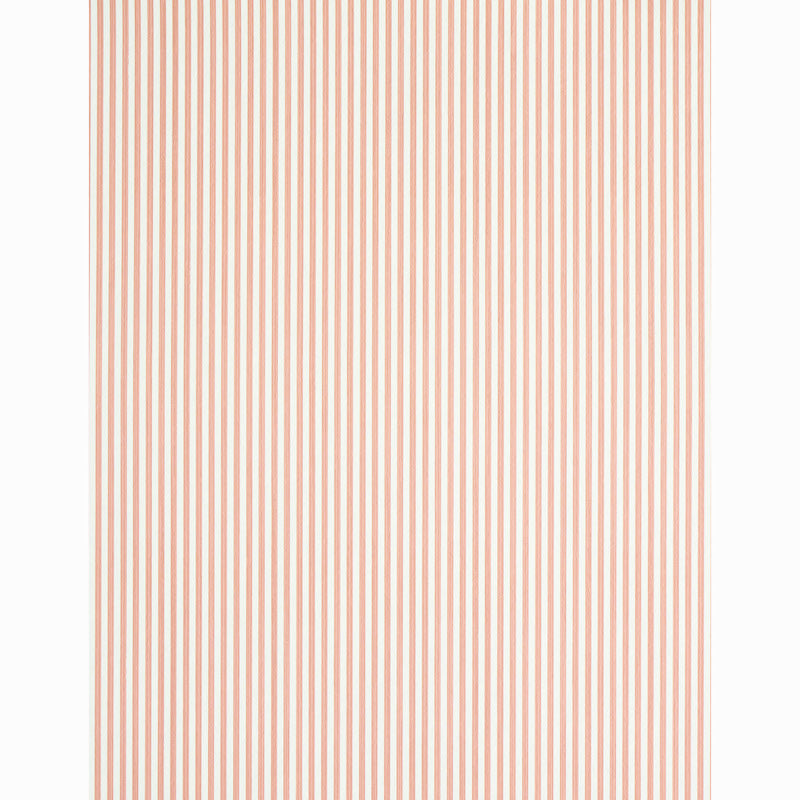 EDWIN STRIPE NARROW | Pink