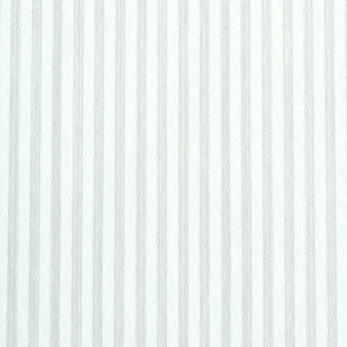 EDWIN STRIPE NARROW | Birch