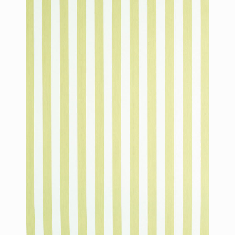 EDWIN STRIPE MEDIUM | Citron
