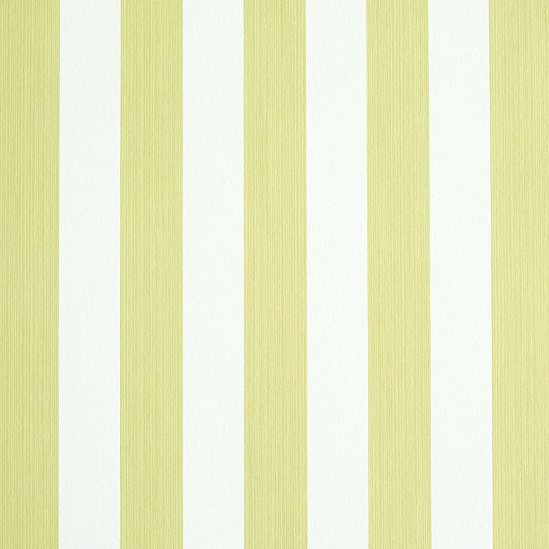 EDWIN STRIPE MEDIUM | Citron