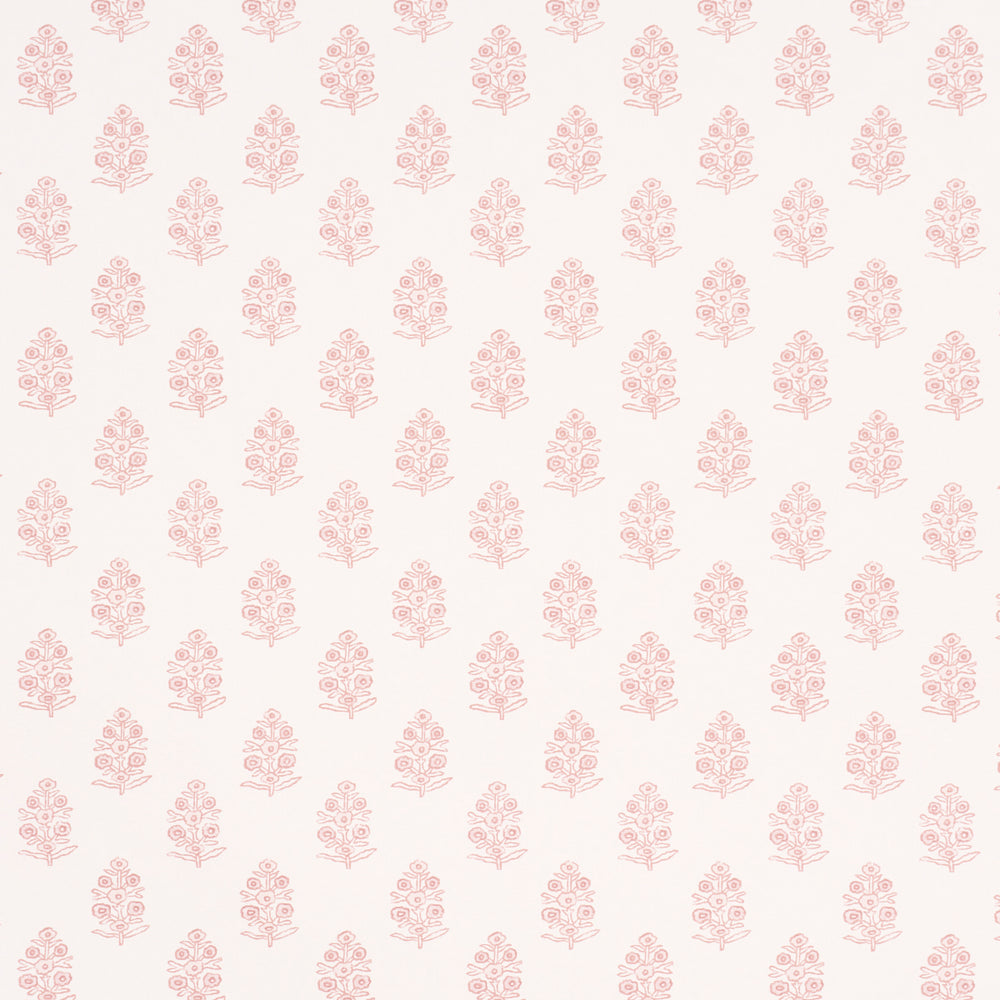 ADITI | Blush