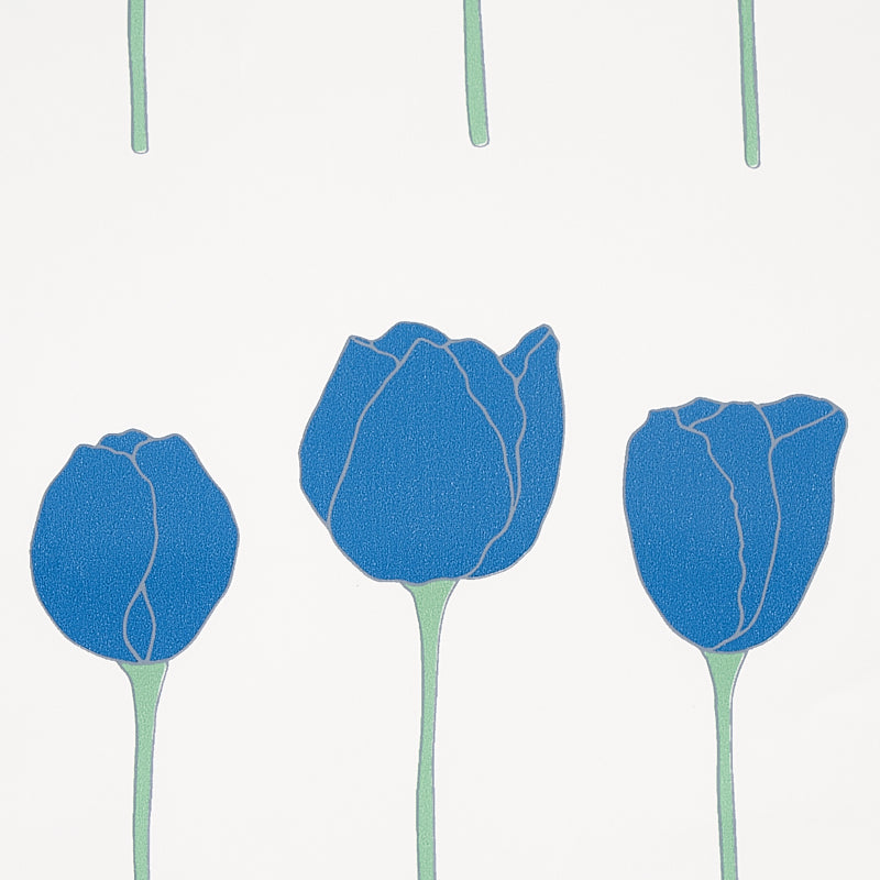 EDIE | Blue Parrot