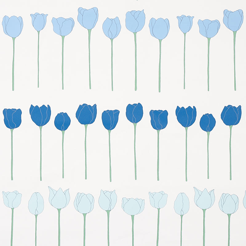 EDIE | Blue Parrot