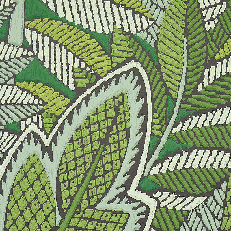 JAPURA FOREST | Green