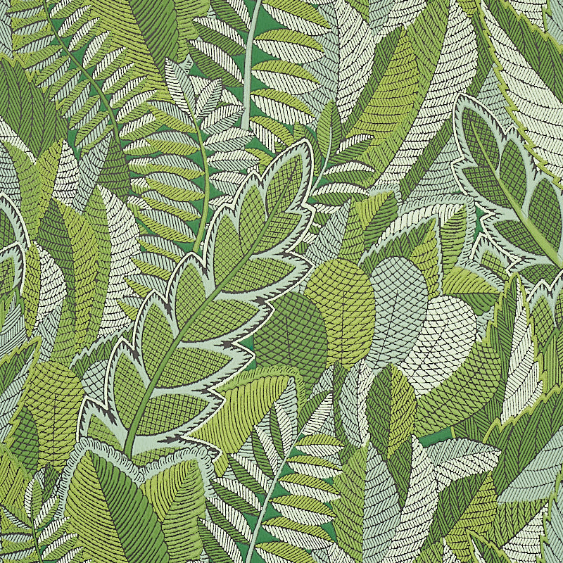 JAPURA FOREST | Green