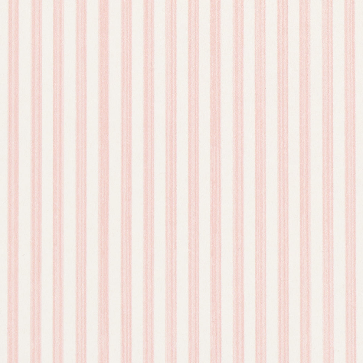 EDWIN STRIPE NARROW | PETAL