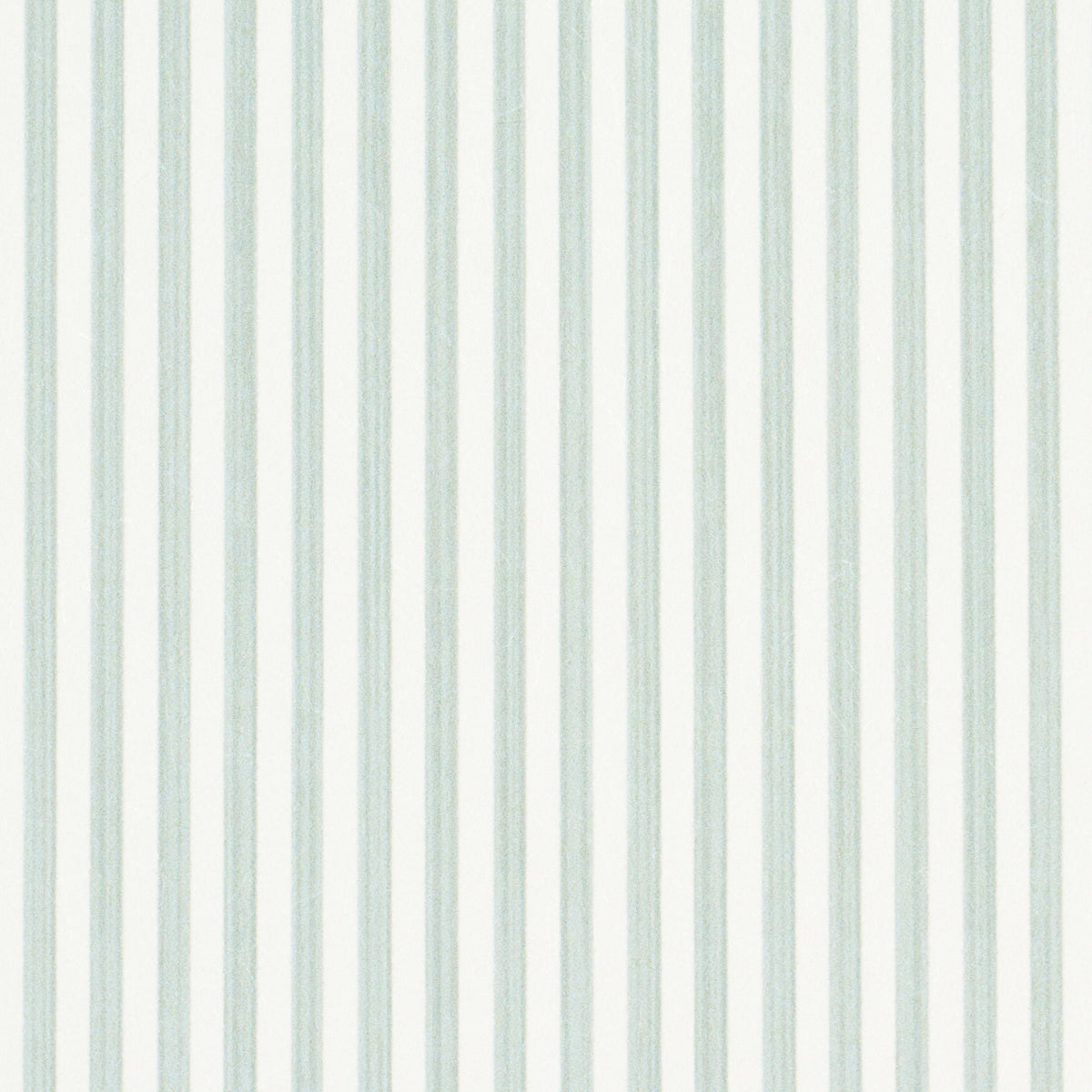 EDWIN STRIPE NARROW | Eucalyptus