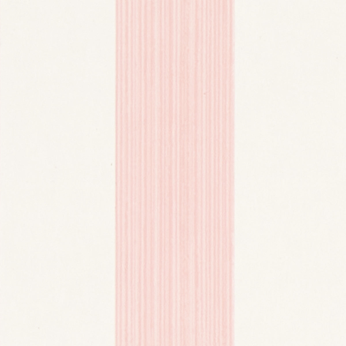 EDWIN STRIPE MEDIUM | Petal