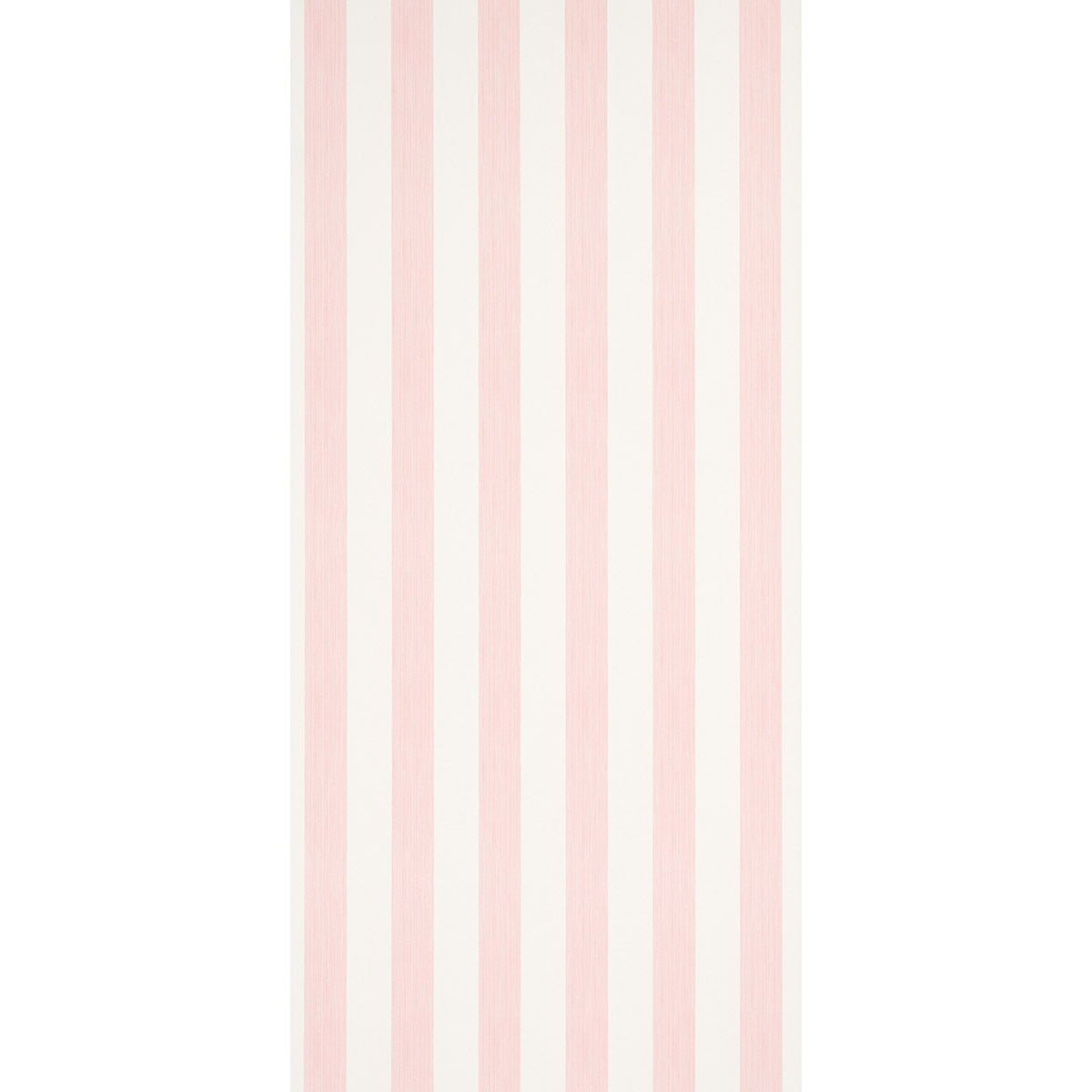 EDWIN STRIPE WIDE | PETAL