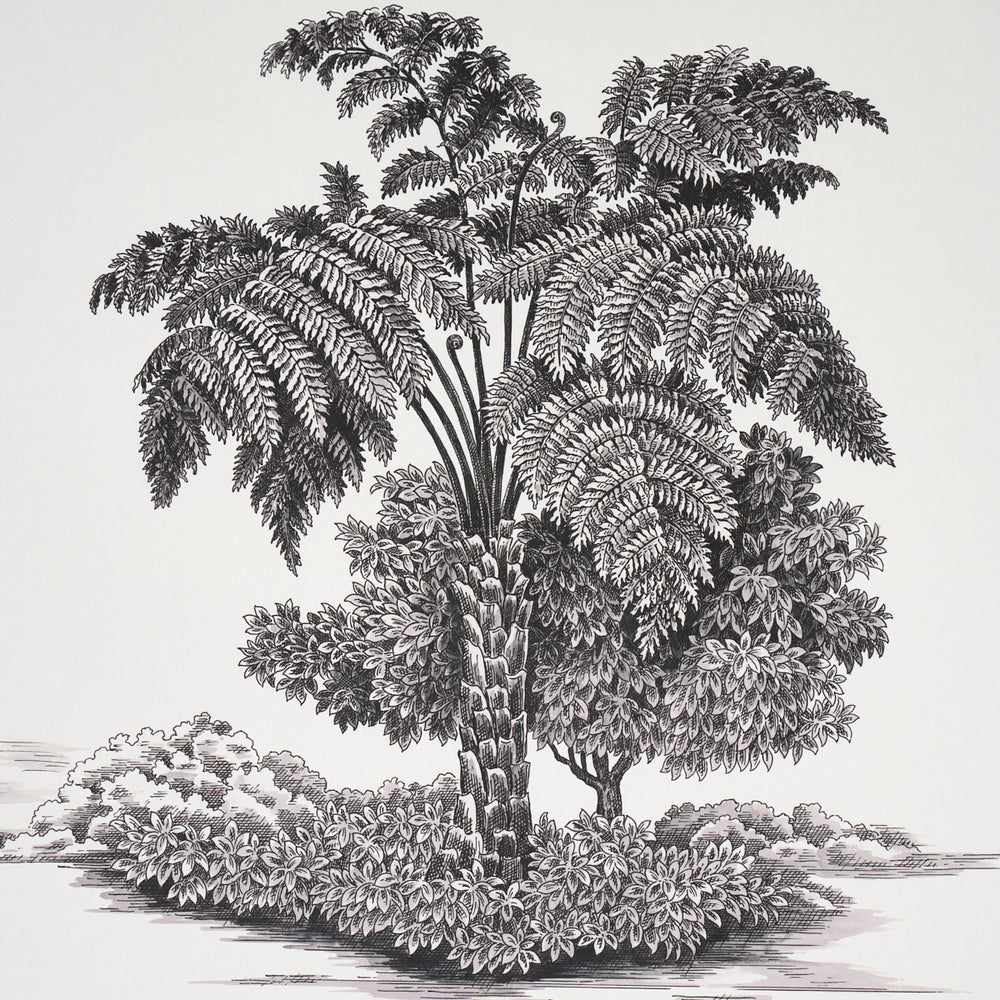 TOUSSAINT TOILE | Black On Ivory