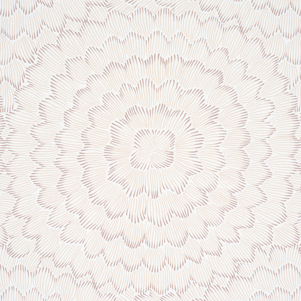 FEATHER BLOOM | Chai
