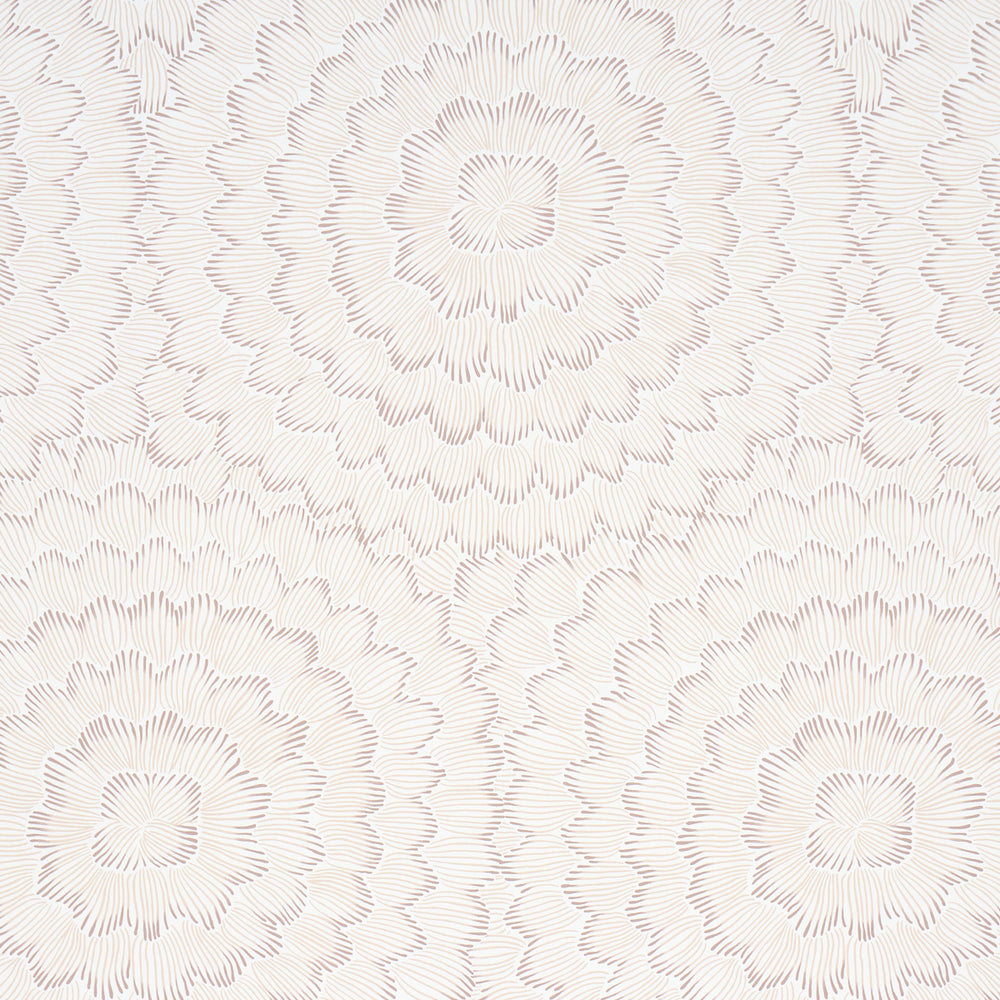 FEATHER BLOOM | Chai