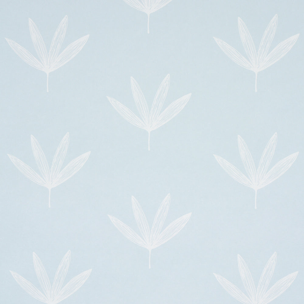 RUE | Sky