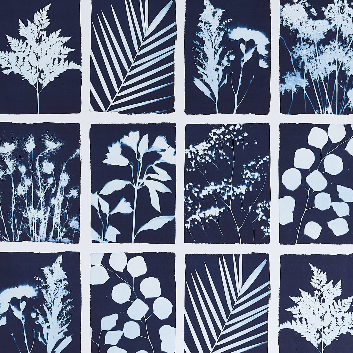 CYANOTYPE PANEL | INDIGO