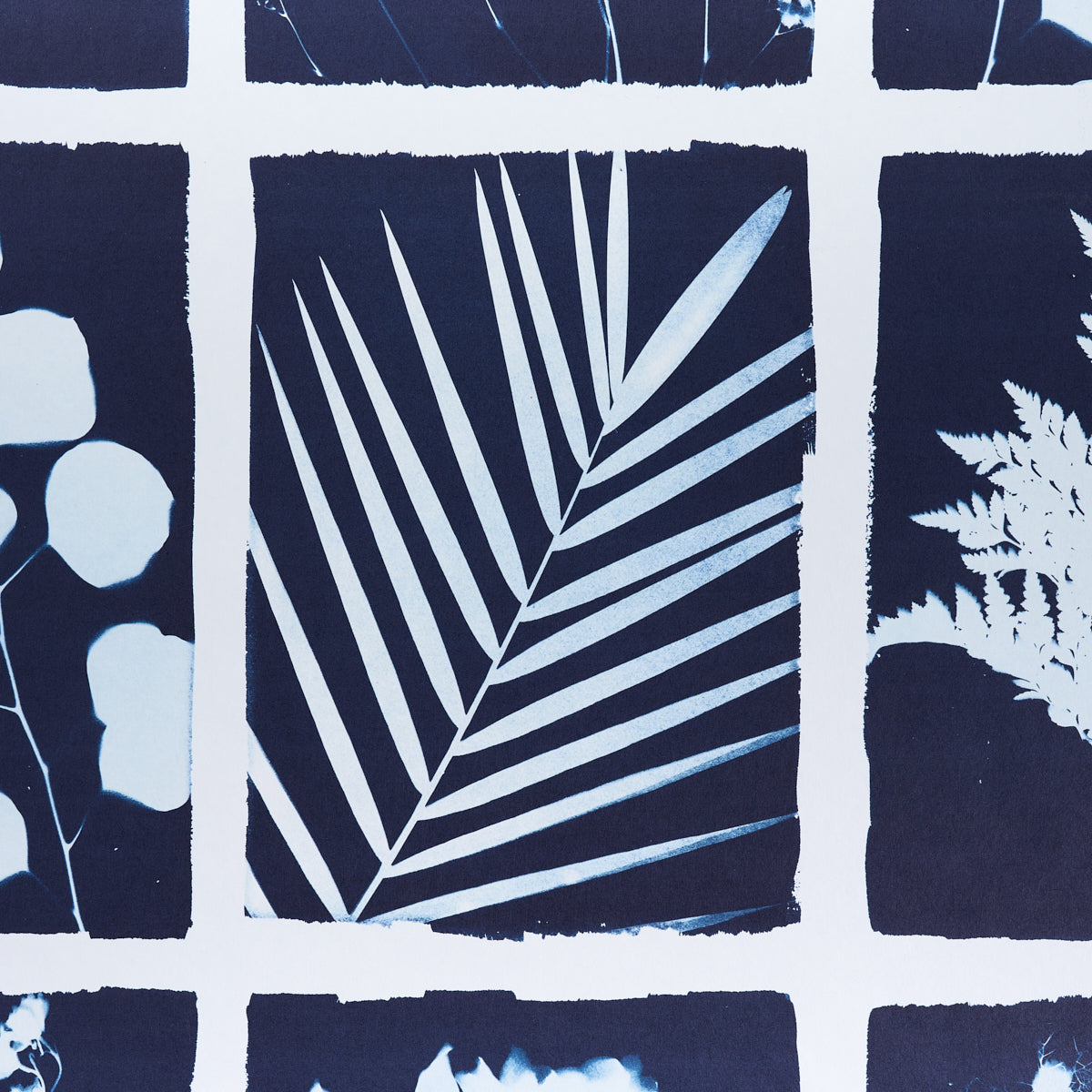 CYANOTYPE PANEL | INDIGO