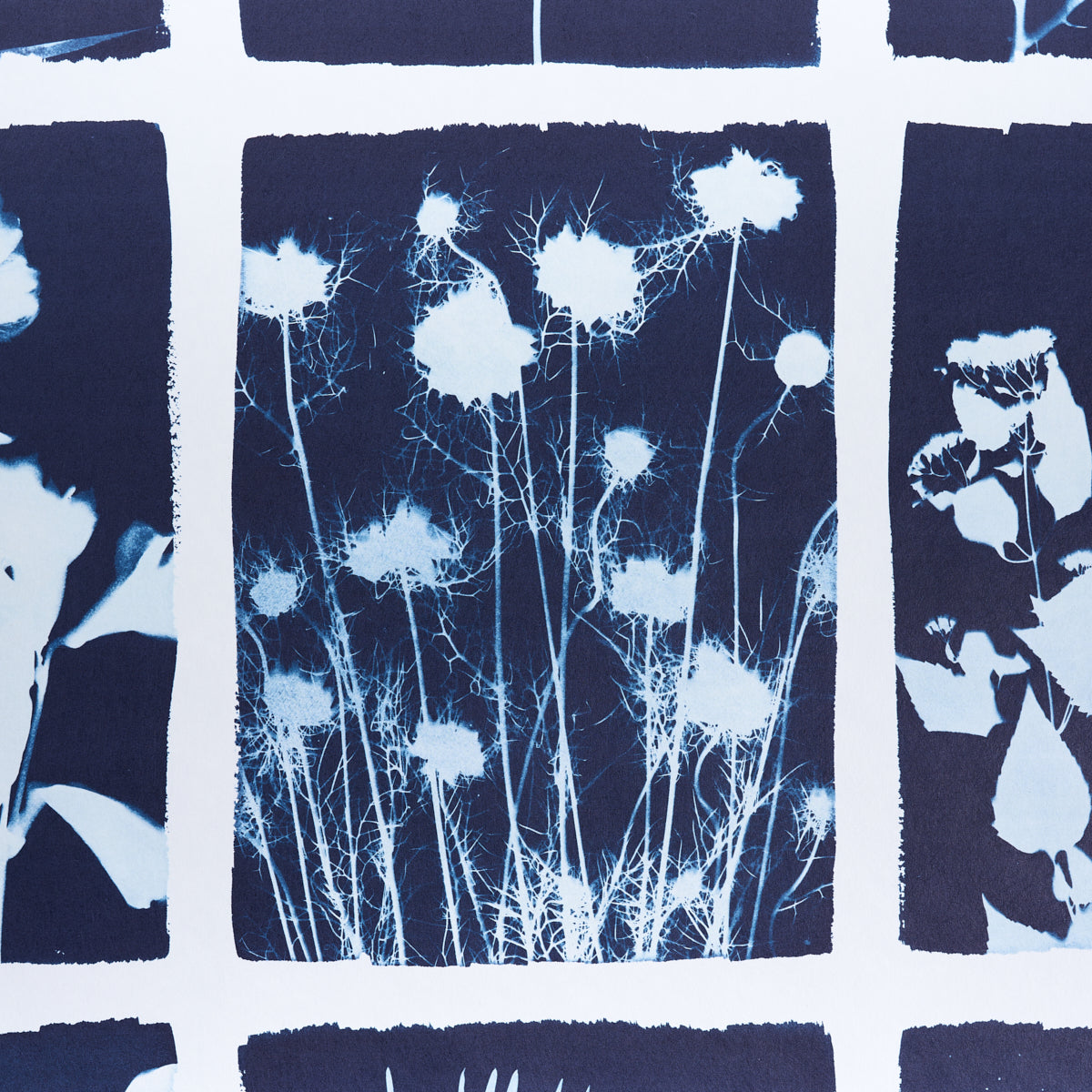 CYANOTYPE PANEL | INDIGO