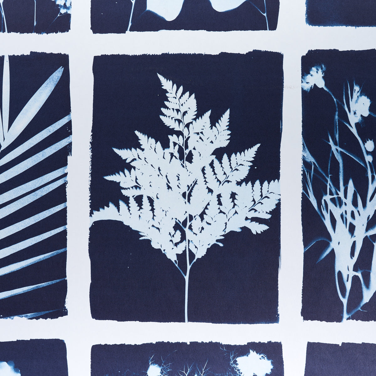 CYANOTYPE PANEL | INDIGO