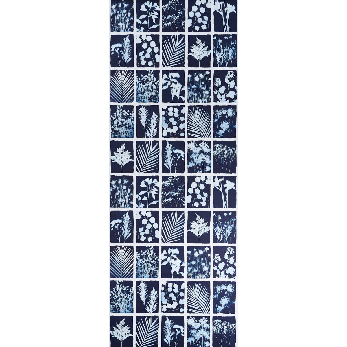 CYANOTYPE PANEL | INDIGO