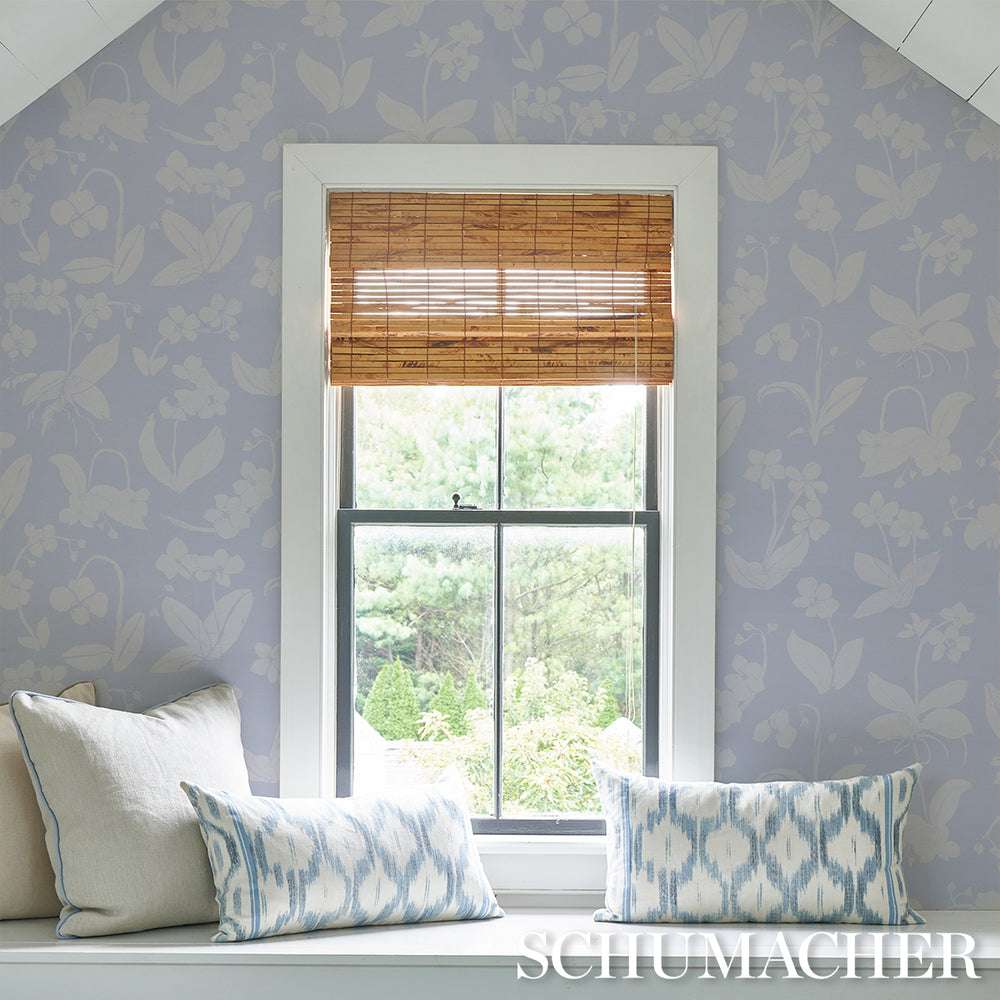 ORCHIDS HAVE DREAMS | Sky